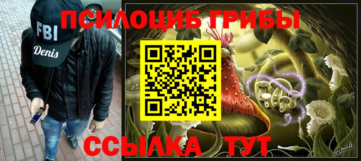 Псилоцибиновые грибы Psilocybe  Вход с VPN  Галлюциногенные грибы MAGIC MUSHROOMS  Фурманов 